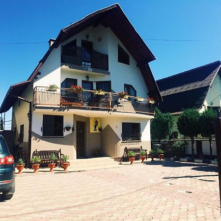 Ocna Şugatag Casa Alberta المظهر الخارجي الصورة