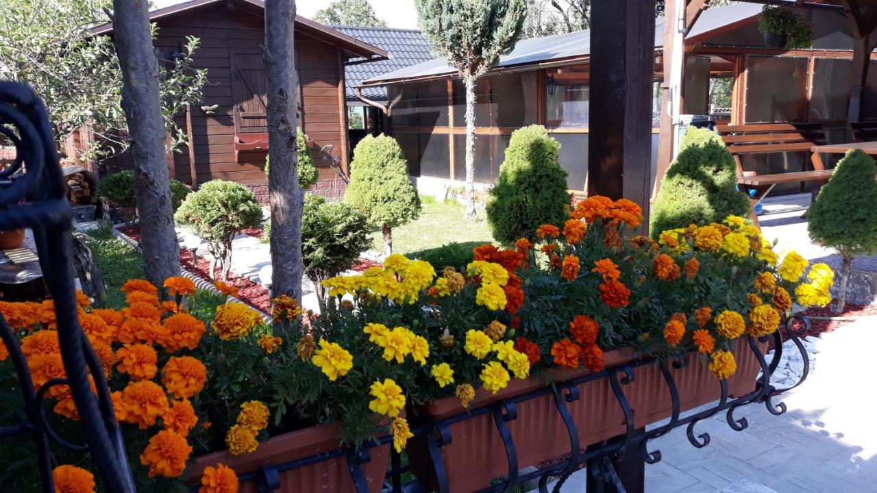 Ocna Şugatag Casa Alberta المظهر الخارجي الصورة